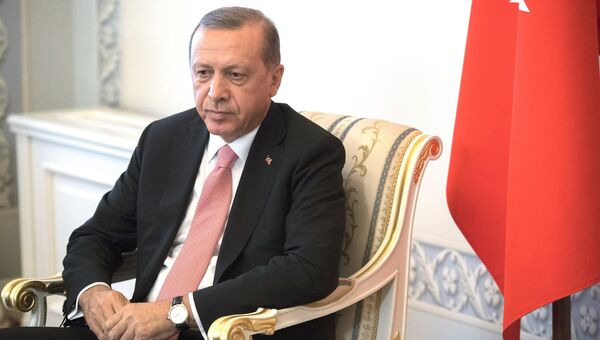 Президент Турции Реджеп Тайип Эрдоган во время встречи с президентом России Владимиром Путиным в Санкт-Петербурге. 9 августа 2016