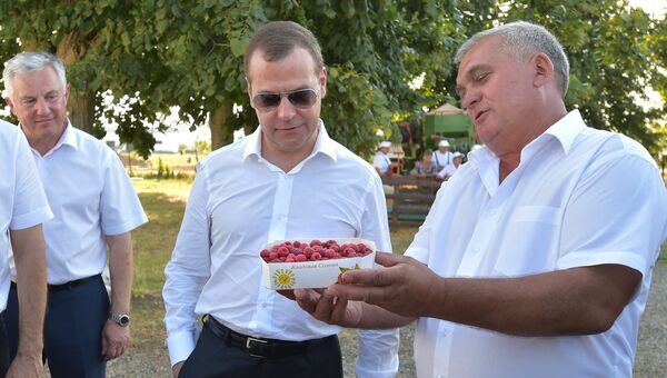 Дмитрий Медведев во время посещения крестьянско-фермерского хозяйства в Краснодарском крае