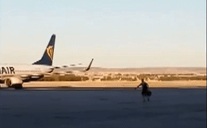Пассажир догоняет самолет в Мадриде