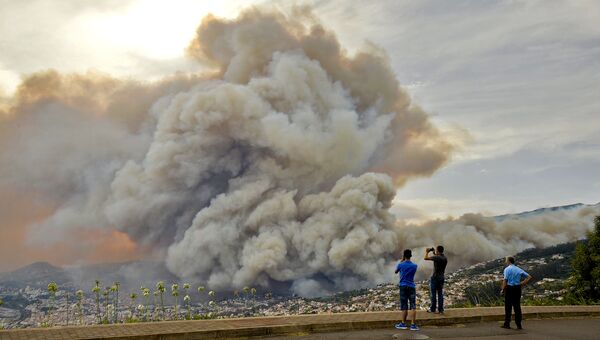 Лесные пожары в Португалии. Архивное фото