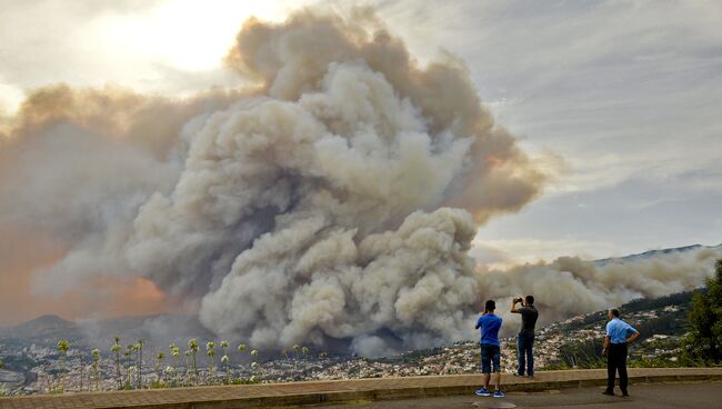 Лесные пожары в Португалии. Архивное фото