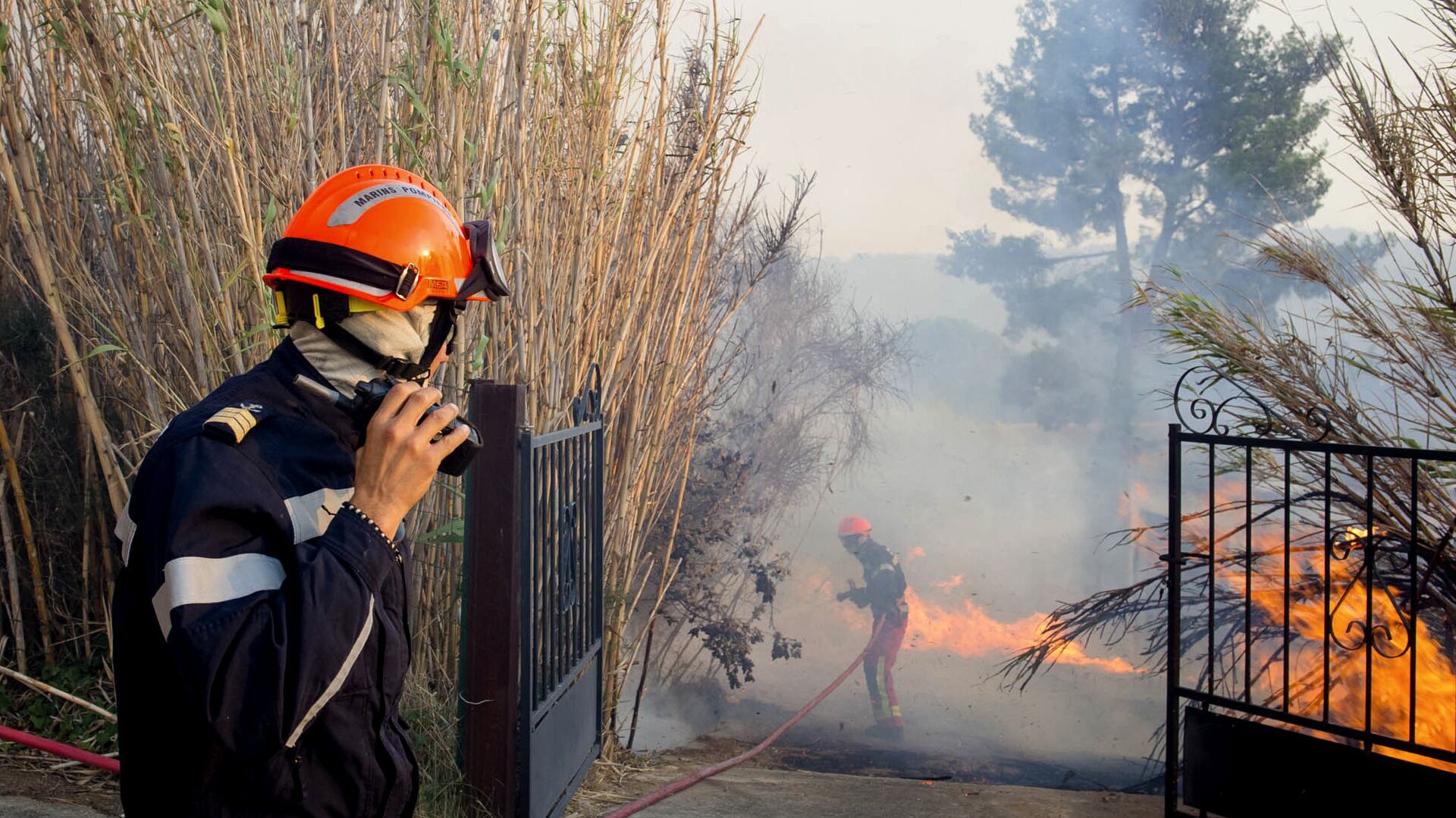Пожарные во время тушения лесного пожара недалеко от Марселя - РИА Новости, 1920, 12.08.2022