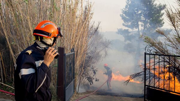 Пожарные во время тушения лесного пожара во Франции