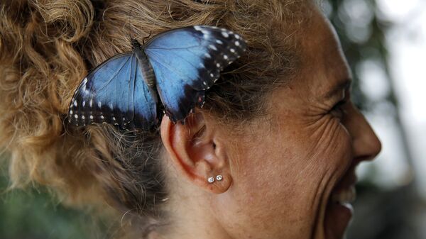 Бабочка сидит на ухе у посетительницы Аквариума Генуи 