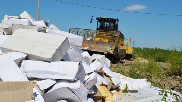 Уничтожение санкционной продукции в Белгородской области