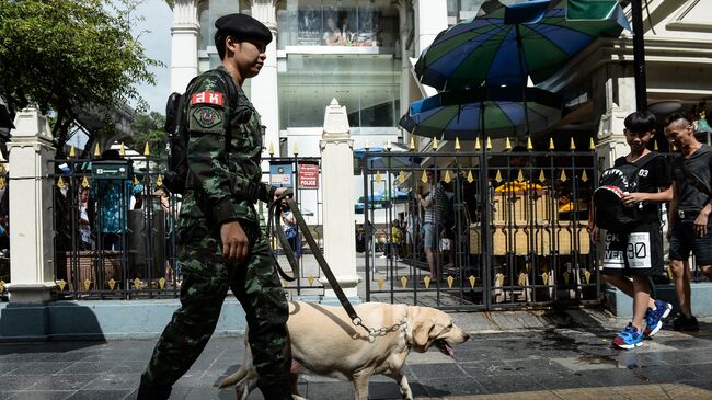 Тайский солдат с собакой в Бангкоке. Архивное фото