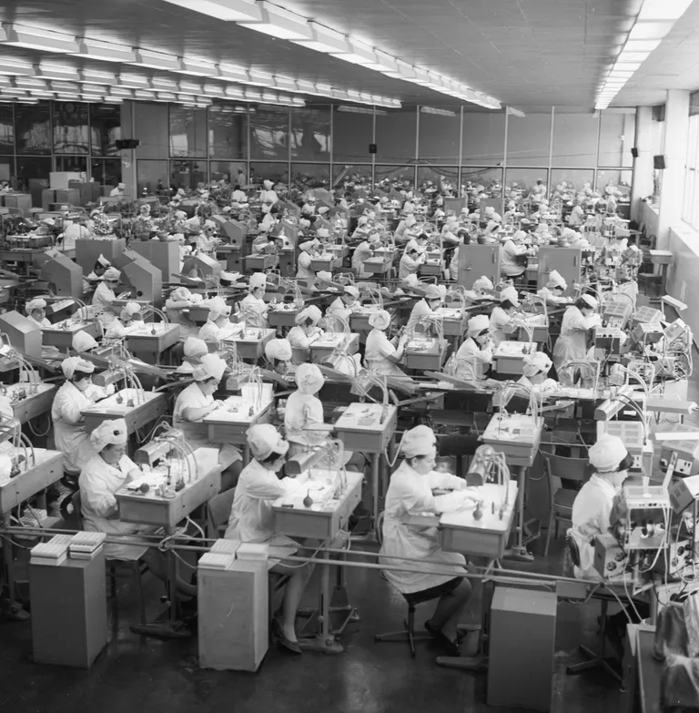 Работницы в сборочном цехе часового завода Слава. 1972 год Работницы в сборочном цехе часового завода Слава. 1972 год