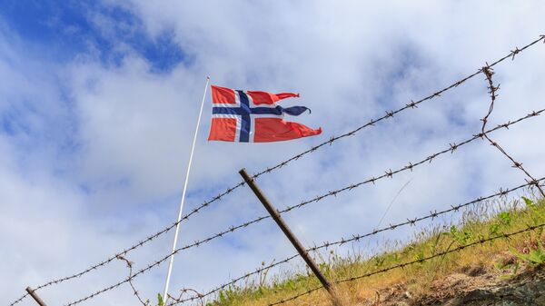 Флаг на норвежской границе. Архивное фото