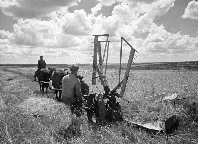 Колхозники косят траву