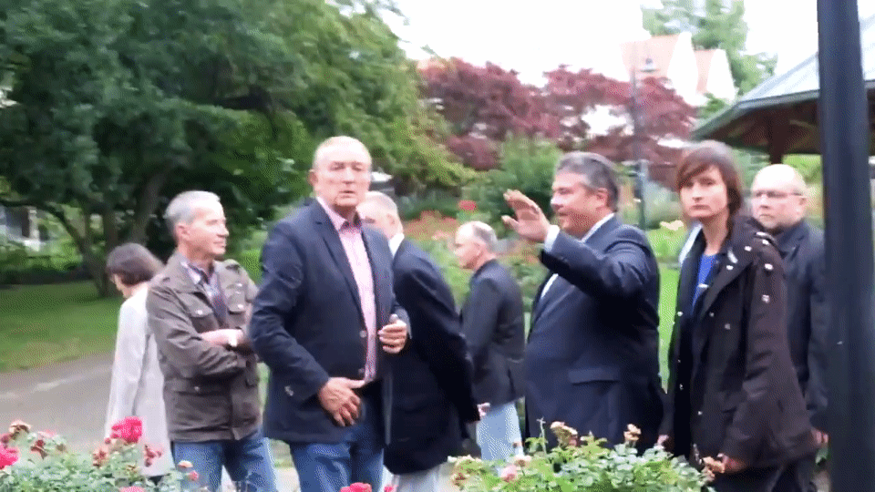 Вице-канцлер ФРГ показал протестующим неприличный жест