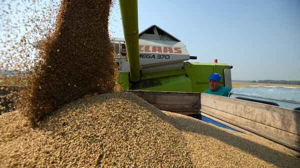Поставки из России составили 40 процентов от общего импорта пшеницы в Мали