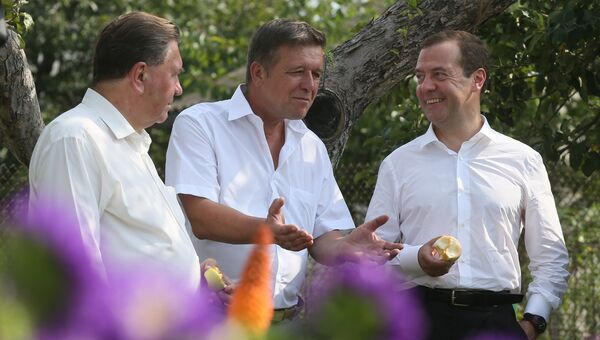 Дмитрий Медведев во время встречи с представителями садоводческих, огороднических и дачных хозяйств в поселке Щетинка Курской области. 22 августа 2016