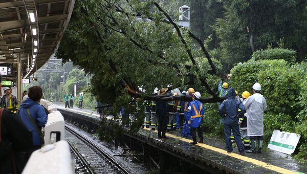 Упавшее дерево на железнодорожной станции в Токио