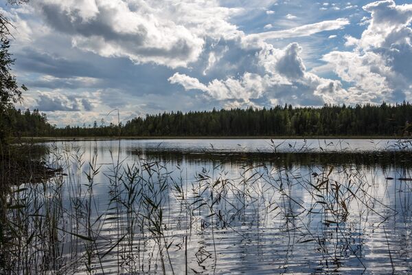 Озеро Мальвиайнен в Калевальском районе Карелии