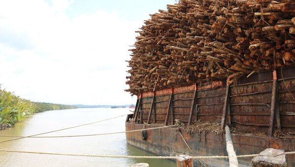 Баржа с древесиной на острове Борнео