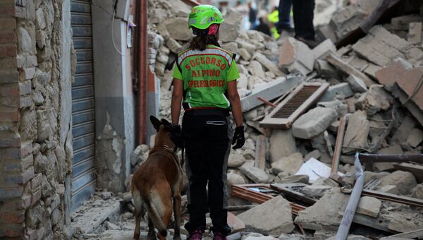 Сотрудница службы спасения с собакой в пострадавшем от землетрясения итальянском Аматриче. 24 августа 2016