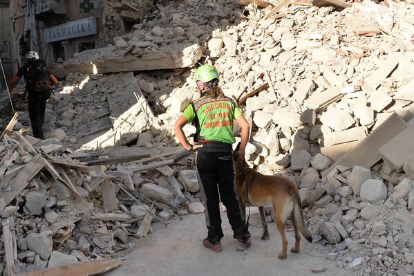 Сотрудники спасательных служб работают на месте завалов в городе Аматриче