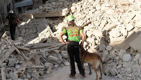 Сотрудники спасательных служб работают на месте завалов в городе Аматриче. Архивное фото