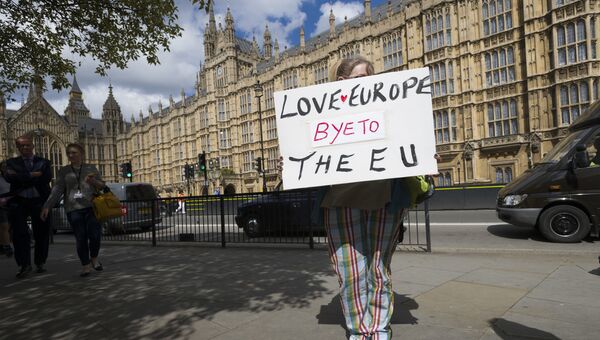 Женщина с плакатом у здания парламента в Лондоне