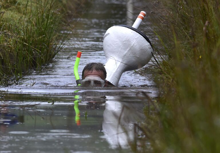 Чемпионат по нырянию в болото в Великобритании (World Bog Snorkelling Championship)