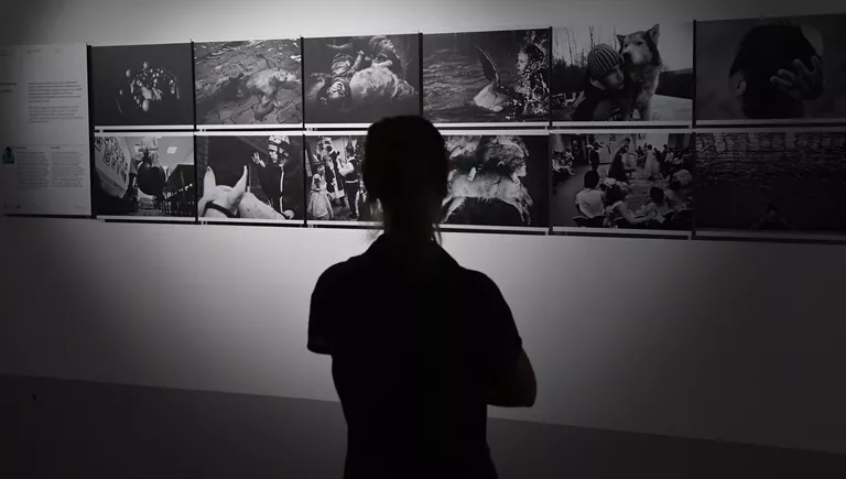 Открытие выставки победителей и призеров Международного конкурса фотожурналистики имени Андрея Стенина в Москве Открытие выставки победителей и призеров Международного конкурса фотожурналистики имени Андрея Стенина в Москве