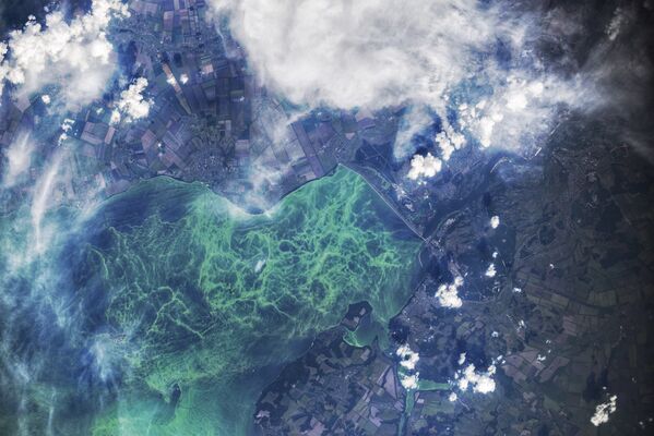 Фотография Кременчугского водохранилища, снятая с борта МКС космонавтом Роскосмоса Олегом Скрипочкой