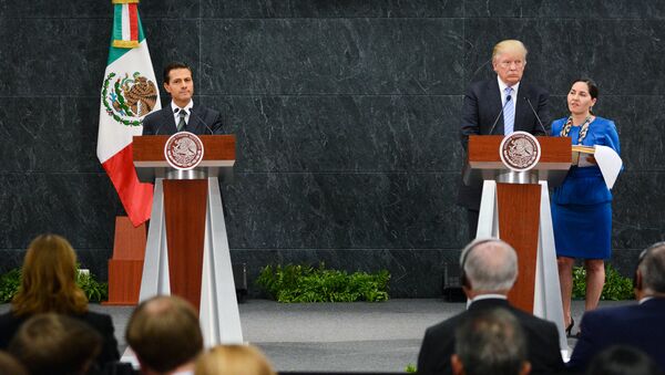 Пресс-конференция президента Мексики Энрике Пеньи Ньето и Дональда Трампа. Архивное фото