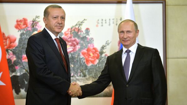Президент РФ Владимир Путин во время встречи с президентом Турции Реджепом Тайипом Эрдоганом. Архивное фото