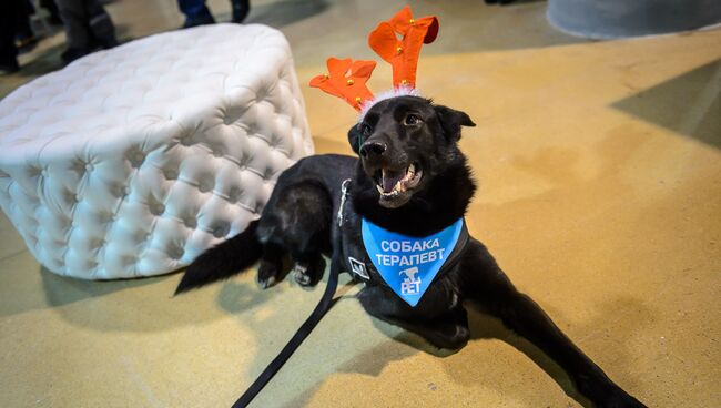 Душевный Bazar-2015 Душевный Bazar-2015