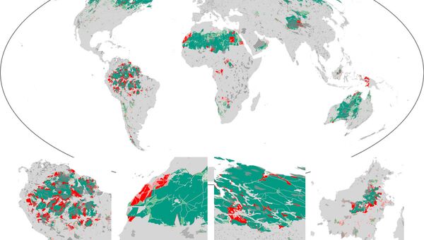 Карта потерянных (красный) и ныне существующих (зеленый) зон дикой природы