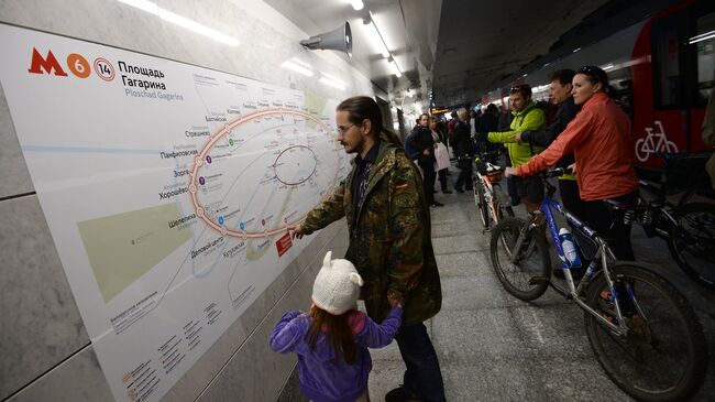 Пассажиры на станции Лужники Московского центрального кольца. Архивное фото