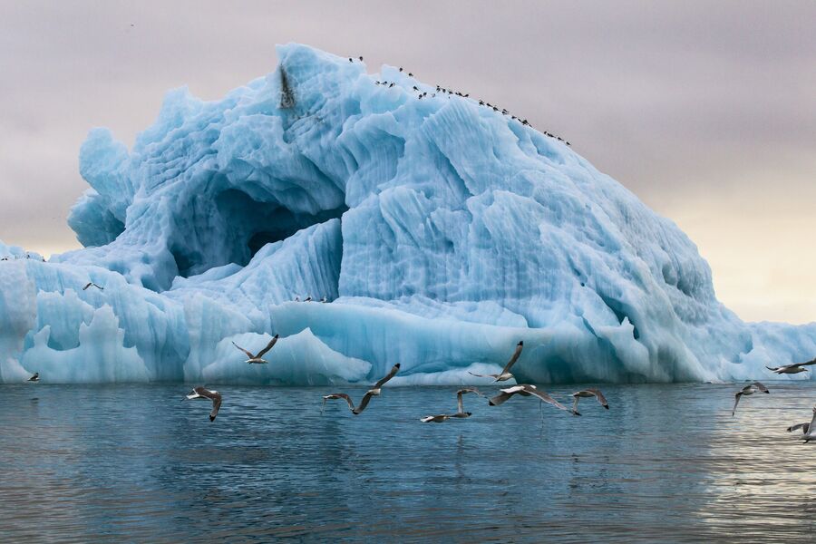 Айсберг в бухте Тихая острова Гукера архипелага Земля Франца-Иосифа