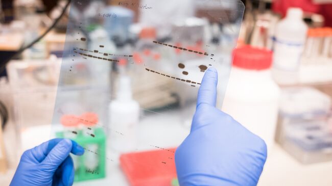 Ученый рассматривает результаты лабораторных исследований. Архивное фото