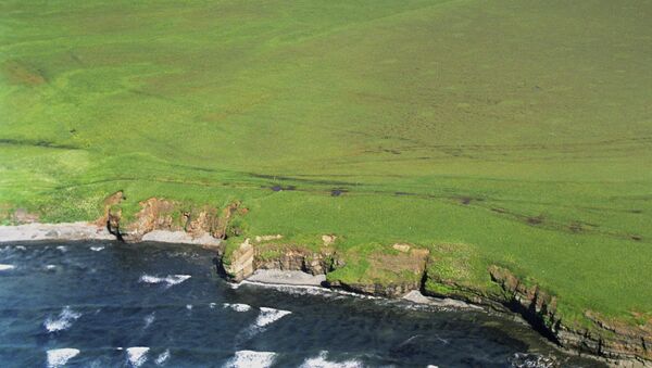 Вид сверху на остров Зеленый из группы островов Хабомаи Южно-Курильской гряды. Архивное фото