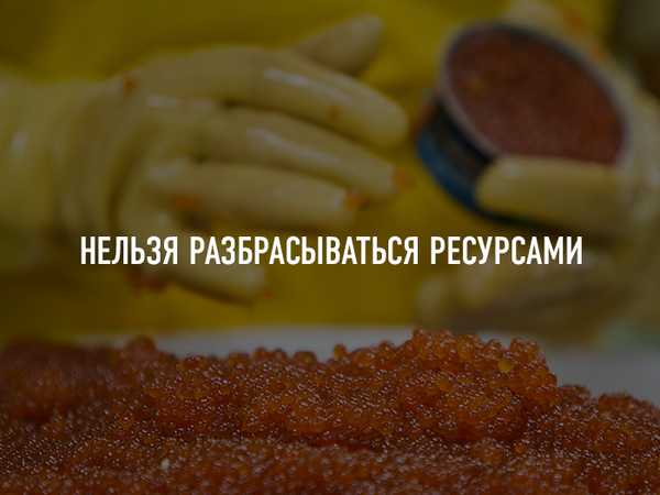 © РИА Новости © РИА Новости