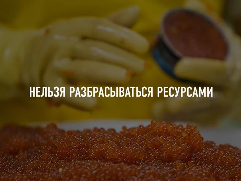 © РИА Новости © РИА Новости