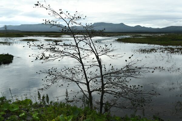 Разлившаяся речка Серебрянка у поселка Южно-Курильск на острове Кунашир Большой Курильской гряды