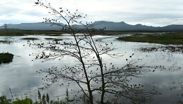 Разлившаяся речка Серебрянка у поселка Южно-Курильск на острове Кунашир Большой Курильской гряды