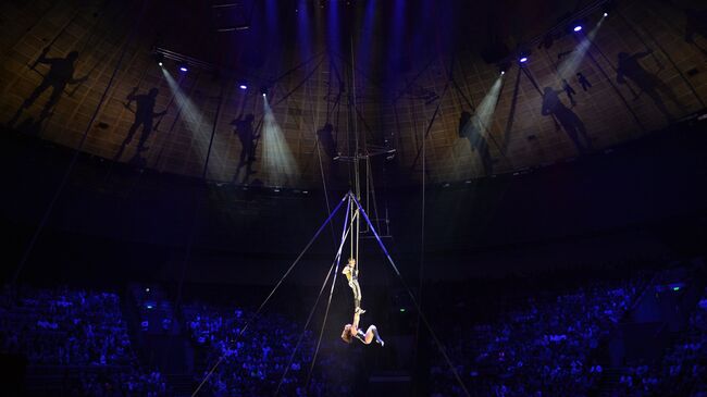 Гимнасты на трапеции. Архивное фото