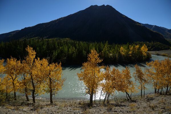 Осенний Алтай Фото