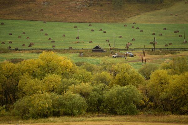 Осенний Алтай Фото