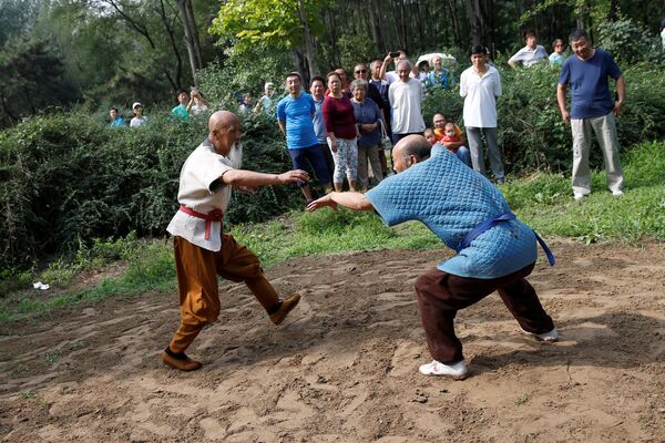 Мастер кунг-фу тренируется в парке Пекина, Китай