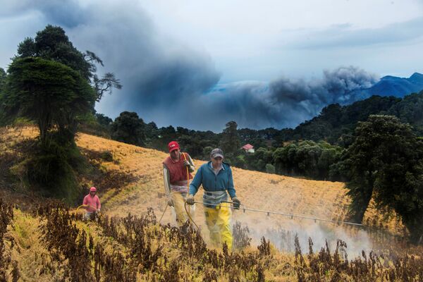 Фермеры возле проснувшегося вулкана Турриальба в Коста-Рике. 20 сентября 2016