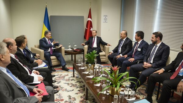 Встреча президентов Украины и Турции Петра Порошенко и Реджепа Эрдогана в рамках 71-й сессии Генеральной Ассамблеи ООН