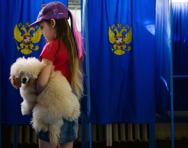 Девочка с собакой в единый день голосования на избирательном участке в Новосибирске