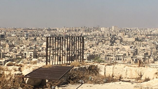 Вид на Алеппо. Архивное фото