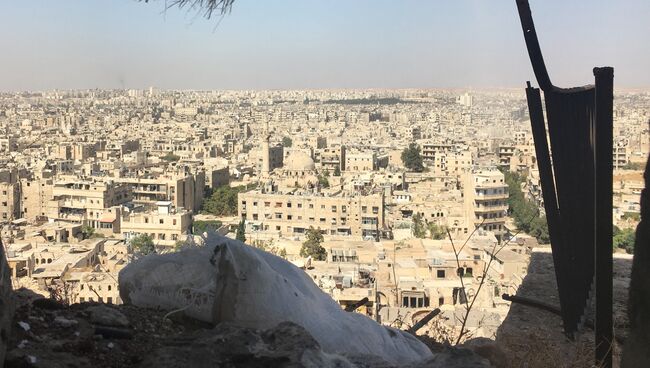 Захваченные боевиками восточные кварталы Алеппо. Вид из Цитадели в старом городе. Архивное фото
