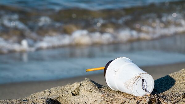Пластиковый стаканчик на берегу. Архивное фото