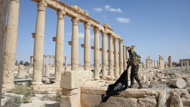 Боец держит флаг ИГИЛ. Архивное фото