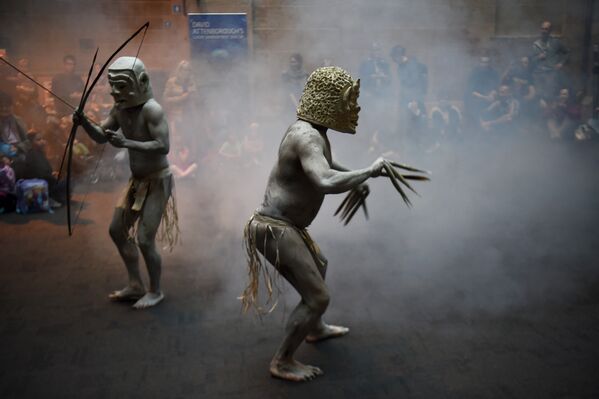 Папуасский народ Асаро мудмен во время выступления для посетителей Австралийского музея в Сиднее